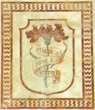 garofano.jpg Il garofano rosso con l'enigmatica scritta