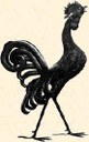 Gallo Grazzanese