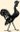Gallo Grazzanese